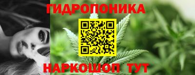 герыч Дубна