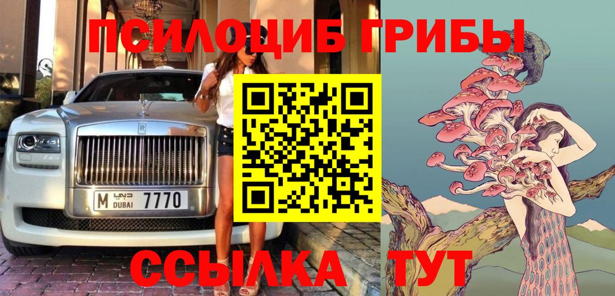 Галлюциногенные грибы Psilocybe Ликино-Дулёво